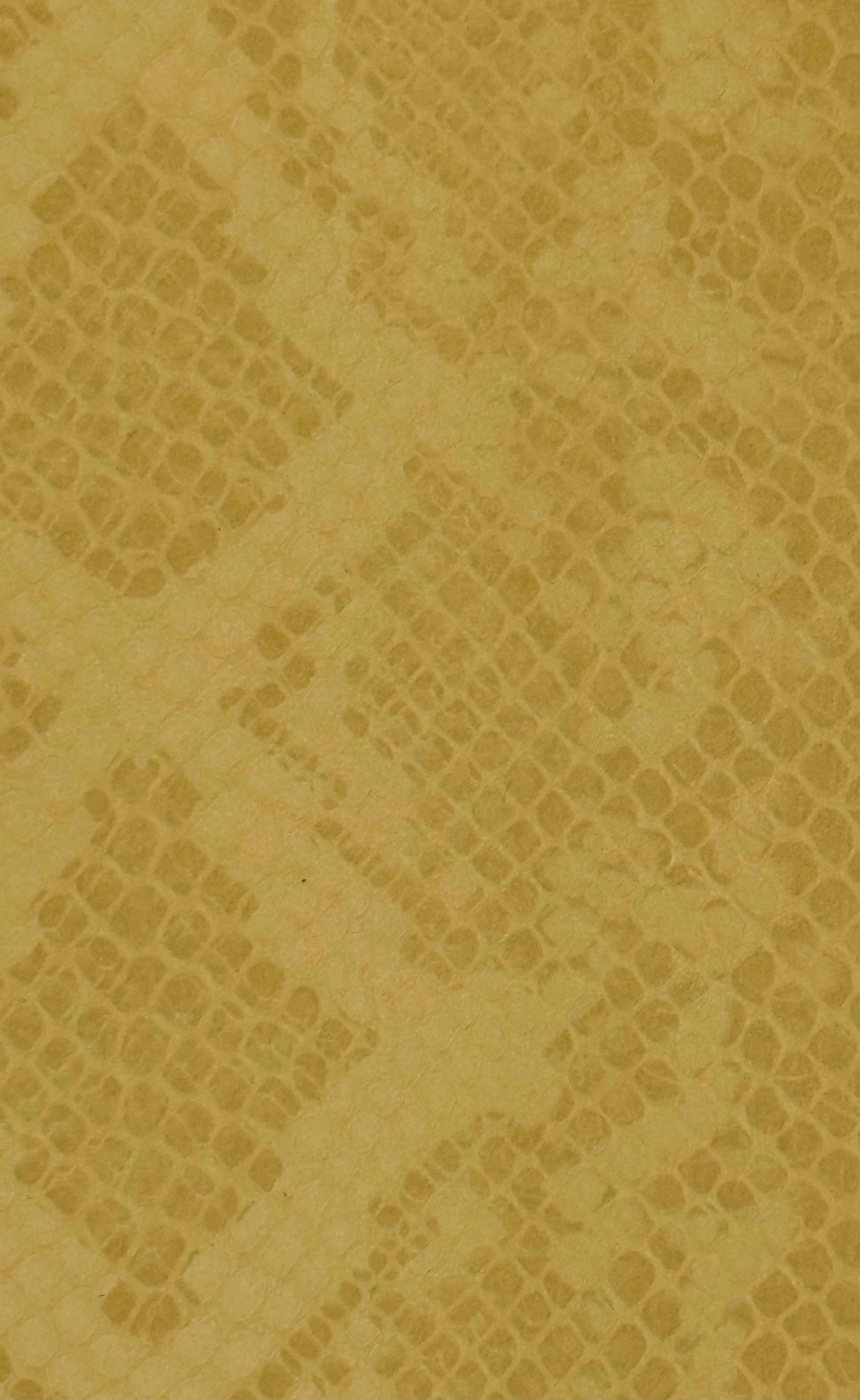 Apple Airpod 3 Gouden Python