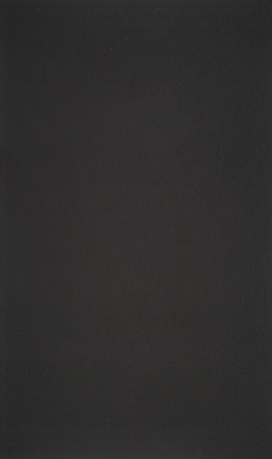 Apple Airpod 3 Middernacht Zwart