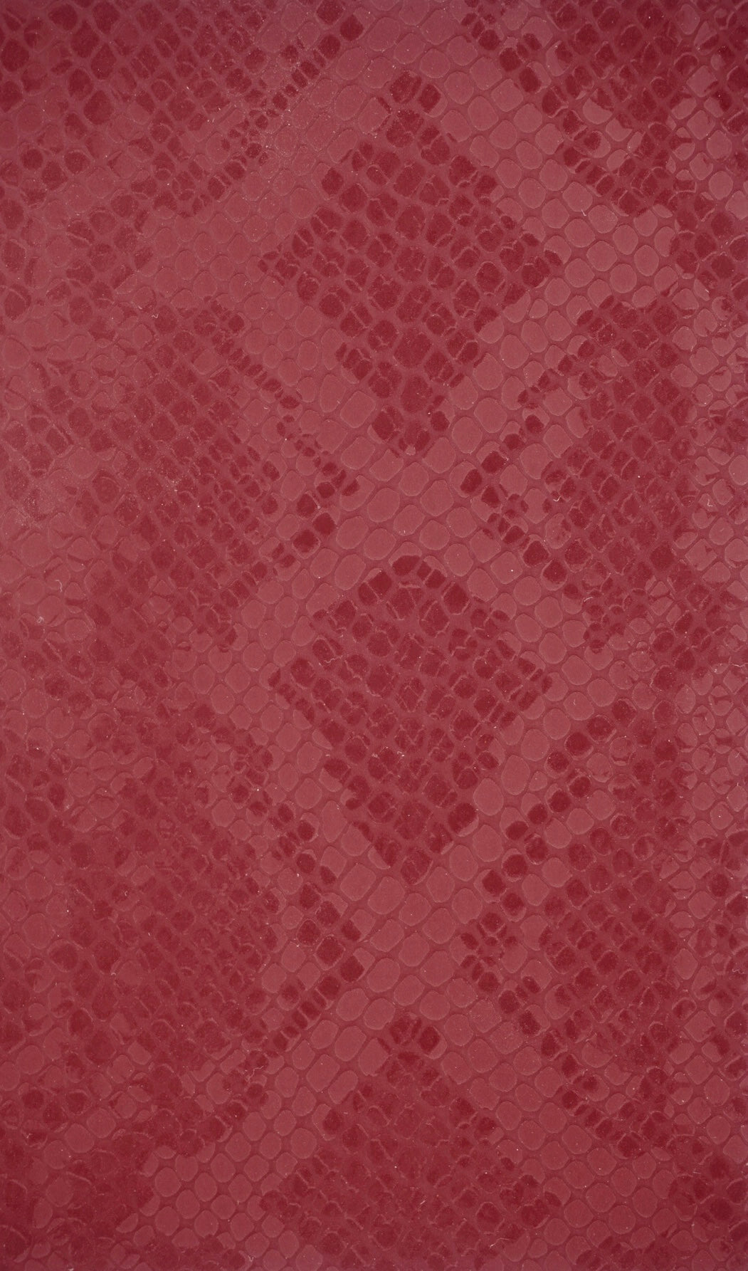 Apple Airpod 3 Robijn Python