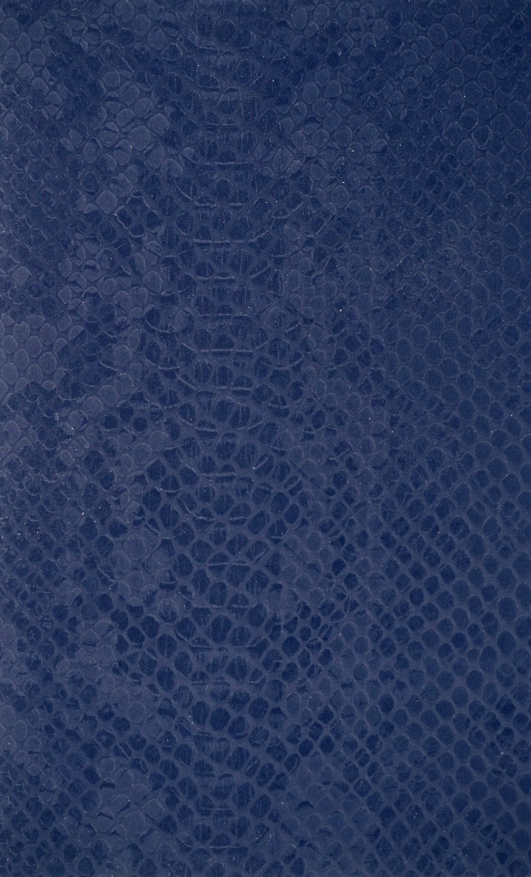 Apple Airpod 3 Saffier Python