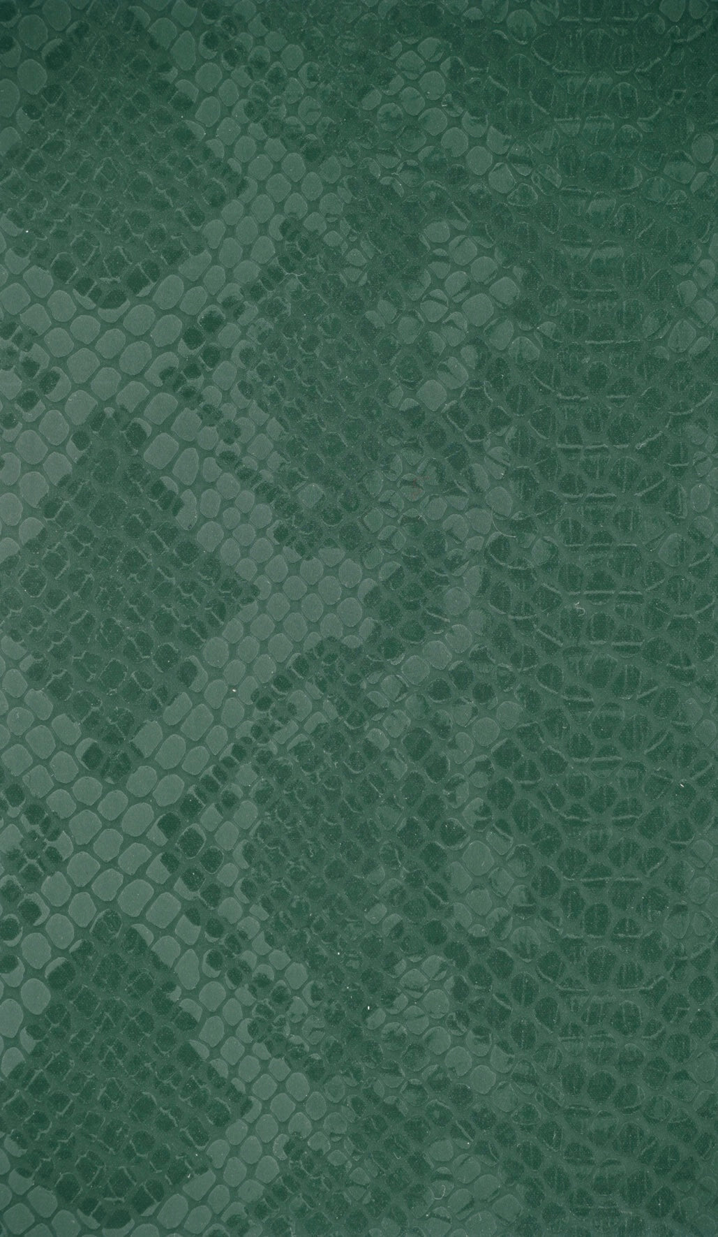 Apple Airpod 3 Smaragd Python