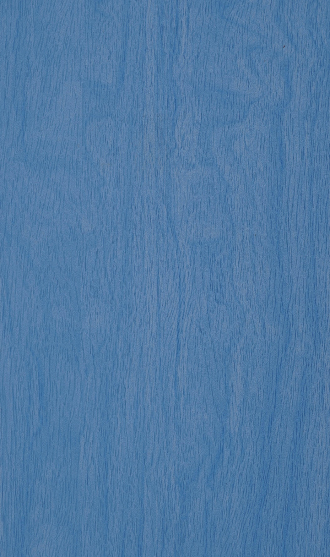 Apple Airpod 3 Luchtblauw Hout