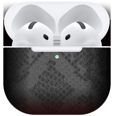 Apple Airpod 4 Grafiet Python