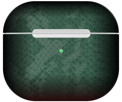 Apple Airpod Pro 1 Smaragd Python