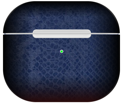 Apple Airpod Pro 3 Saffier Python